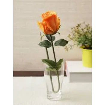 Gorgeous Yellow Rose 